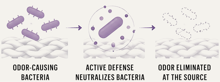 Plant-Derived Chitosan illustration